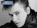 Alan Wilder